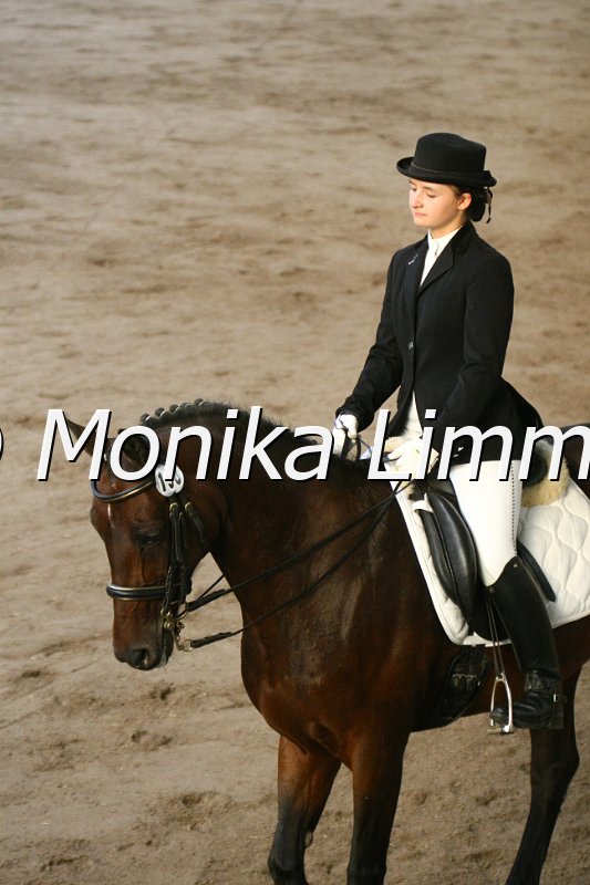 109L8502_Faszzination_L Dressur.JPG